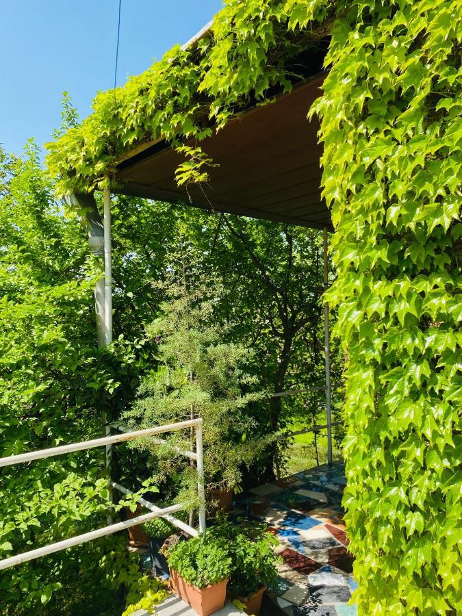 Отель Green House Лагодехи Экстерьер фото